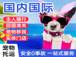滨海航空运输国际宠物托运 【国